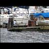 IMG_6721
3/21/2007 2:53:44 PM